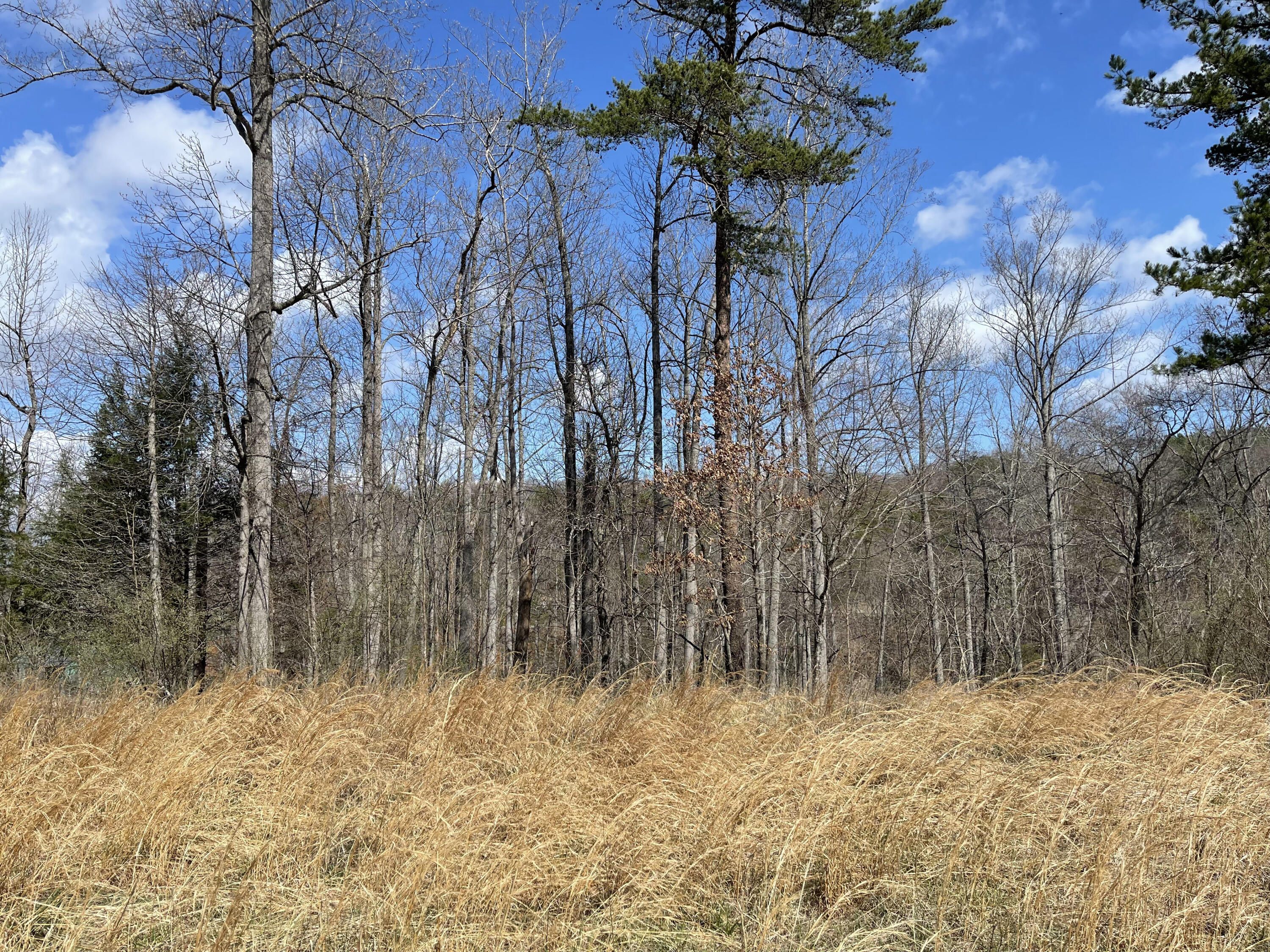 Lot 17 Watchtower Dr, Moneta, Virginia image 3
