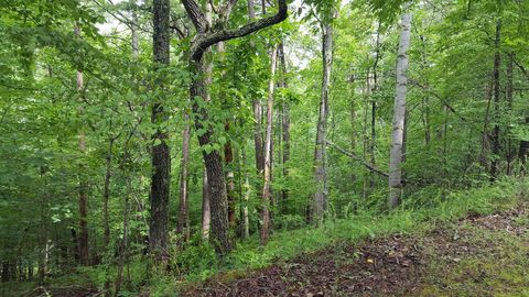 Vacant Land For Sale - 00 Cedar Bluff Ln<br/> Hardy, VA 24101