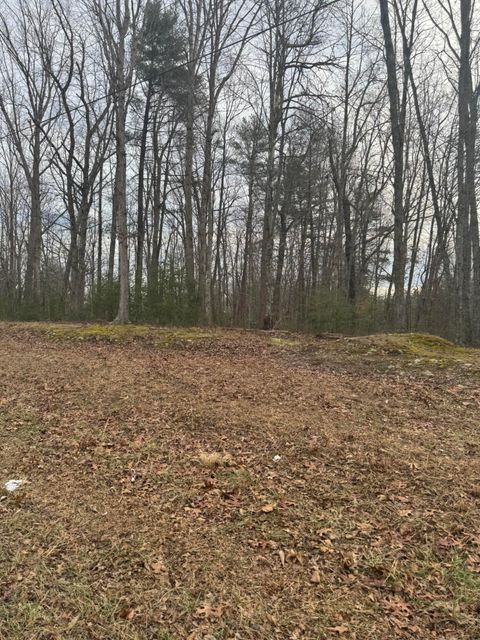 Vacant Land For Sale - 00 Henry Rd<br/> Henry, VA 24102