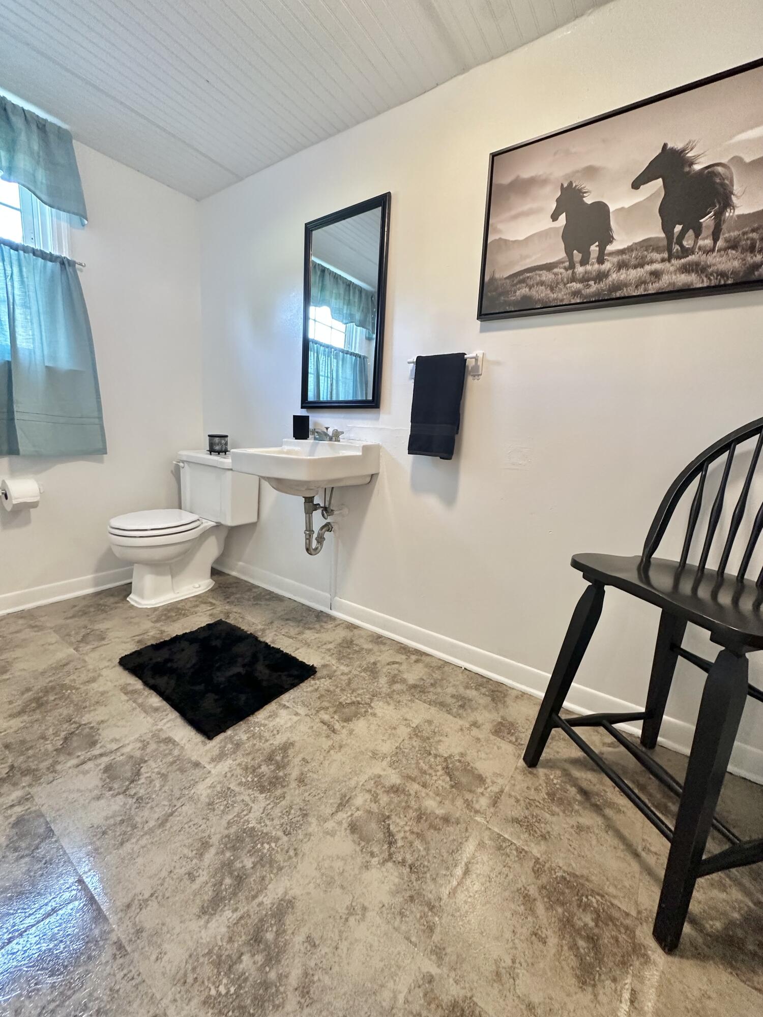 104 Wintergreen Ave, Clifton Forge, Virginia image 27