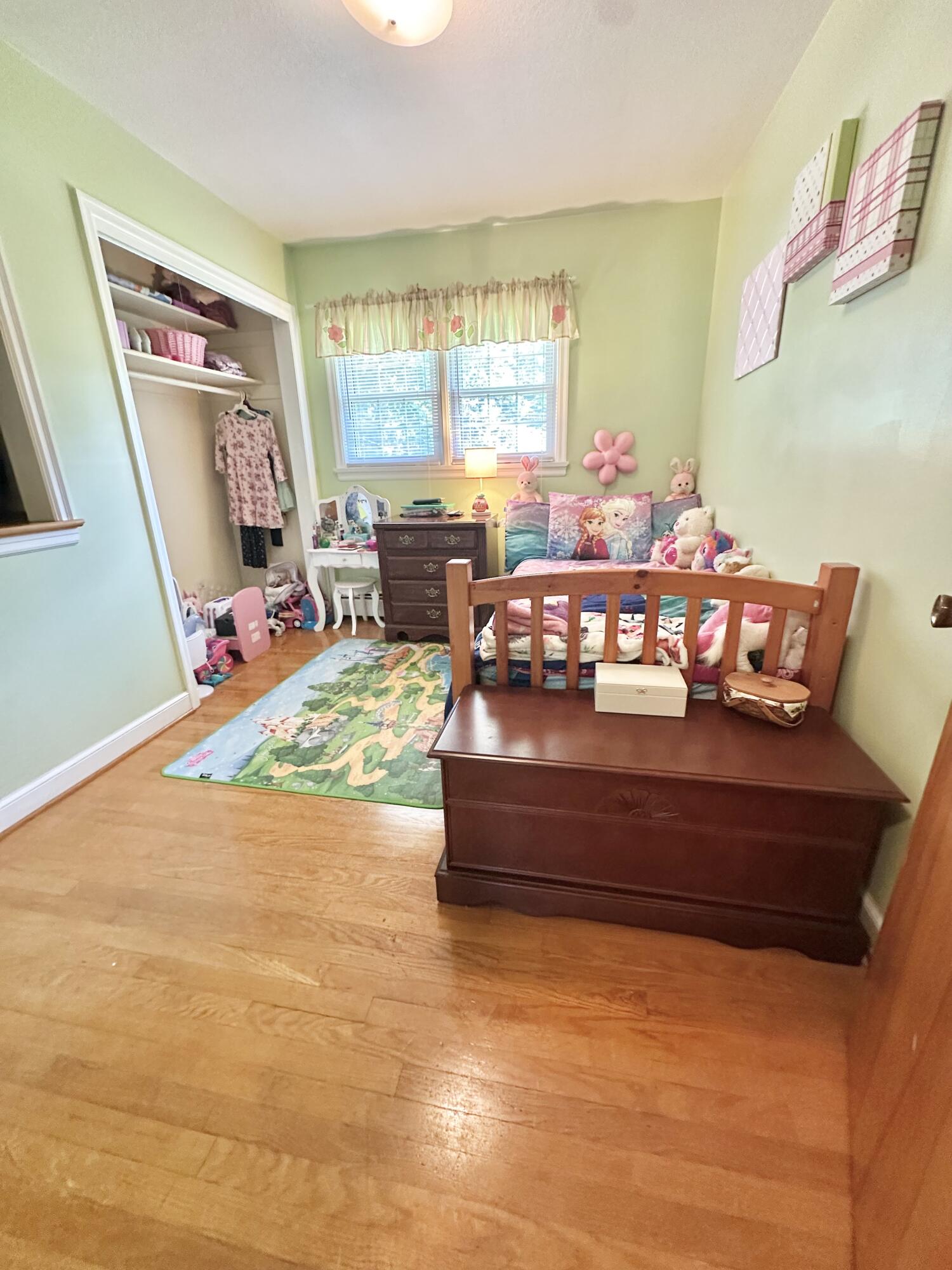 104 Wintergreen Ave, Clifton Forge, Virginia image 25