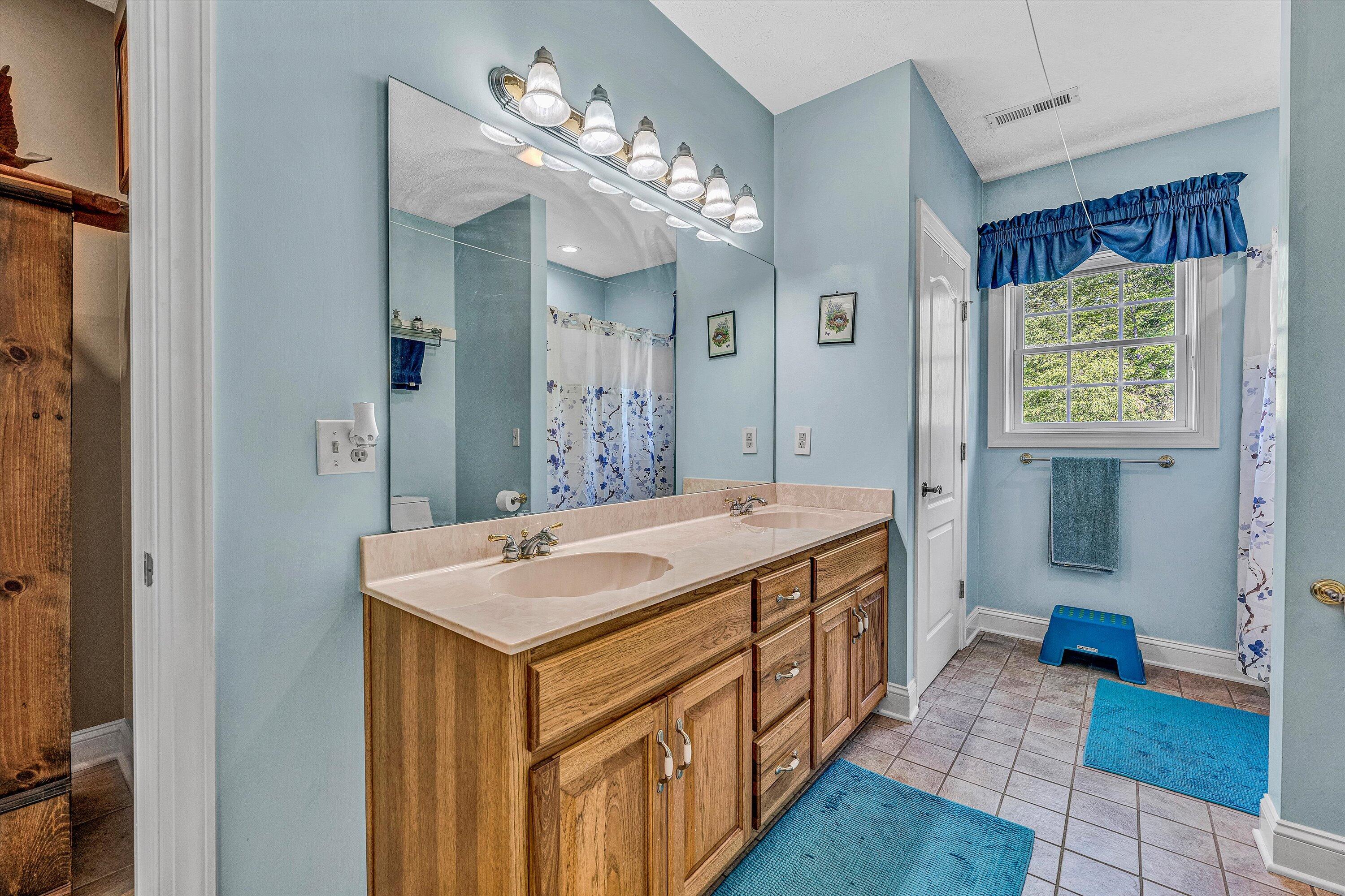 168 Sandy Point Ct, Union Hall, Virginia image 47