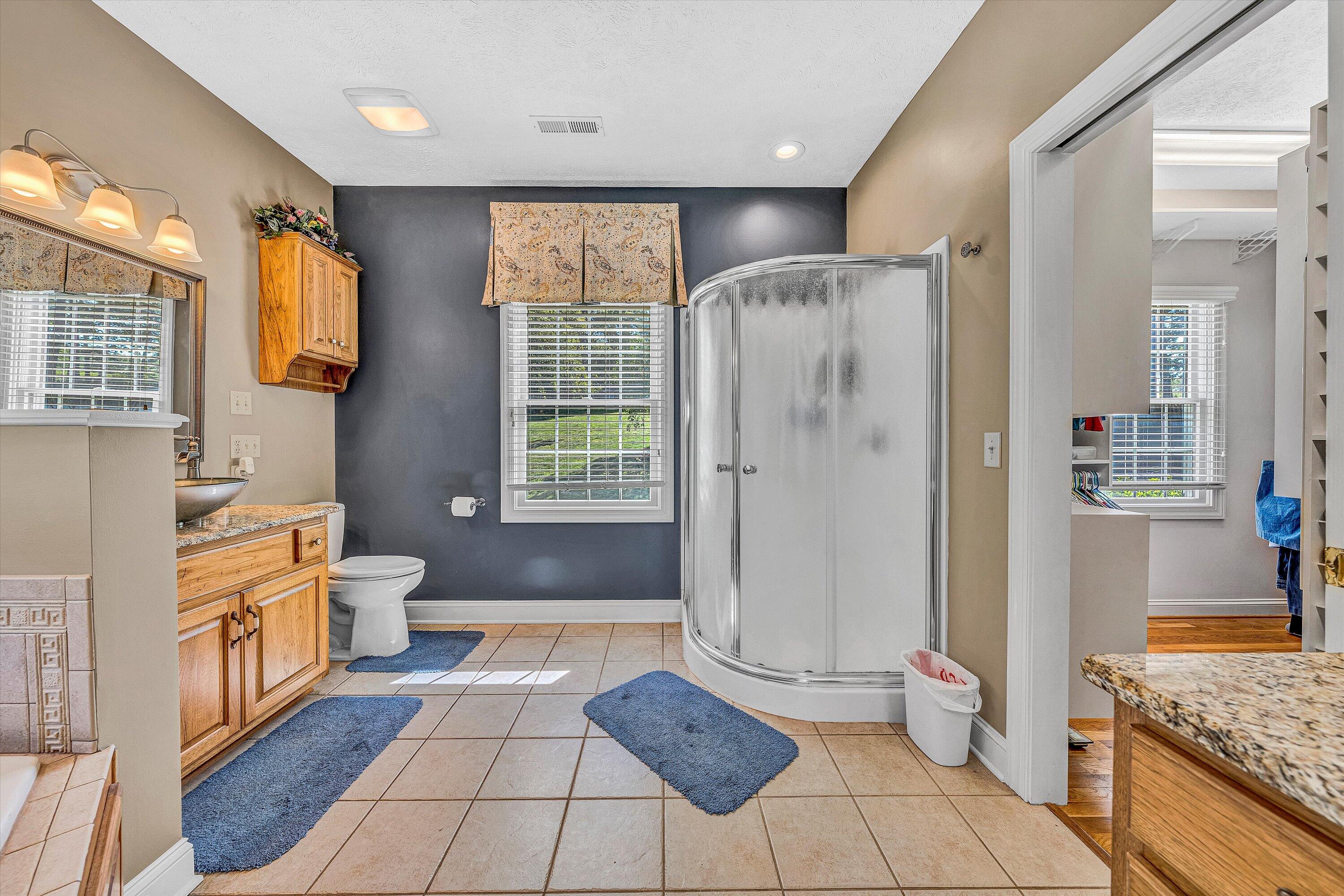 168 Sandy Point Ct, Union Hall, Virginia image 34