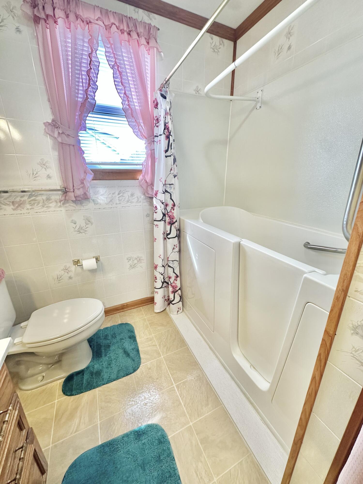 1240 W Jackson St, Covington, Virginia image 26