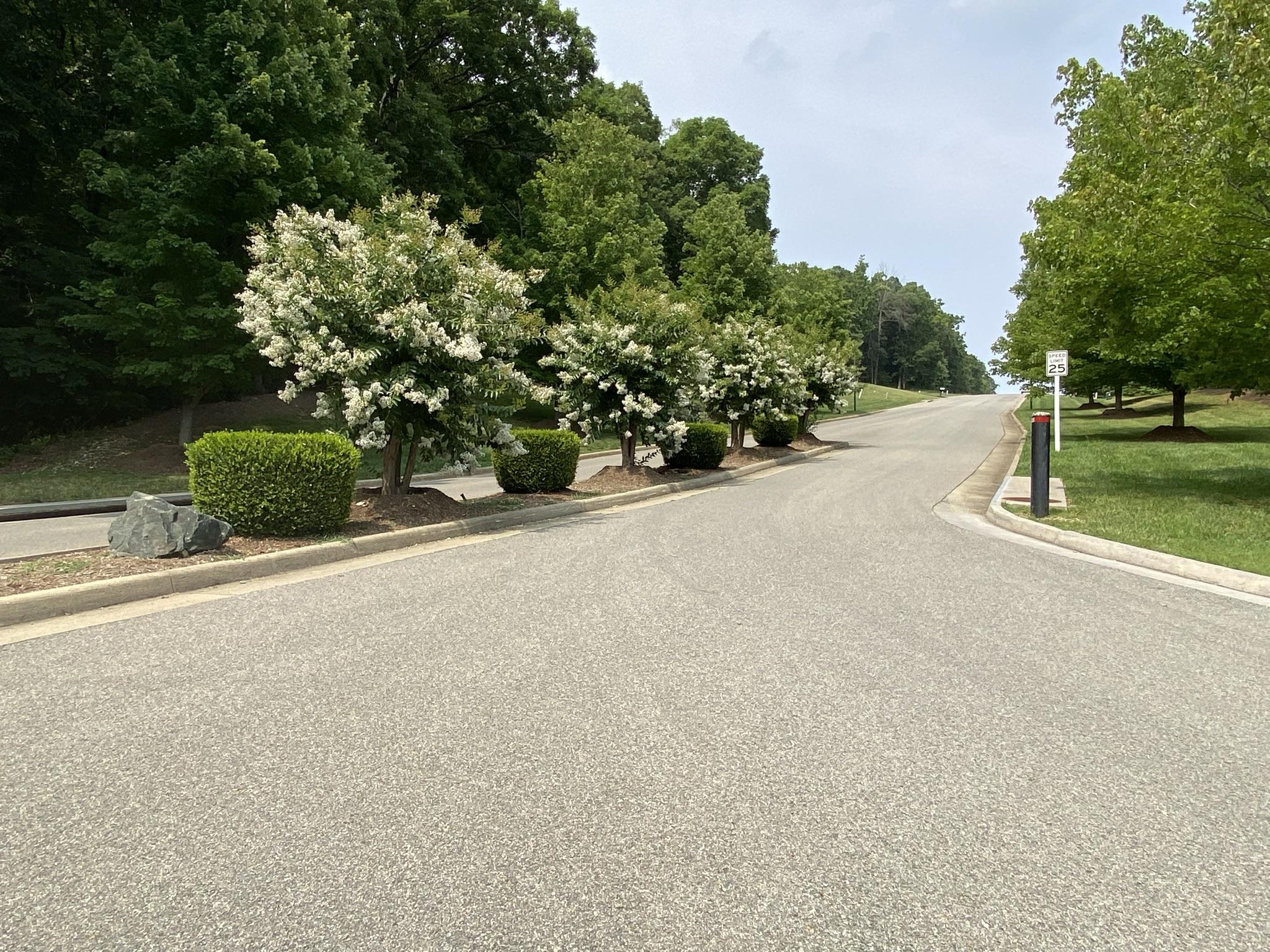 LOT 12 Summit Dr, Rocky Mount, Virginia image 9