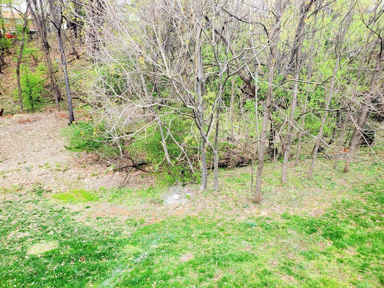 1110 Mountain View Rd, Vinton, Virginia image 18