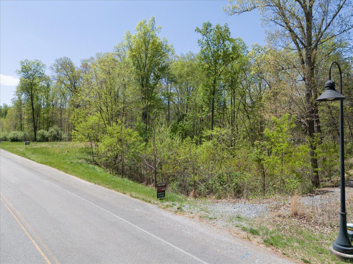 Lot 44 Lakewatch Cir, Moneta, Virginia image 3