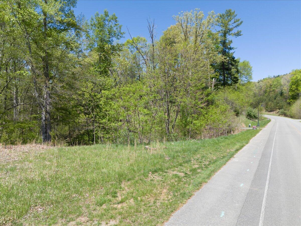 Lot 44 Lakewatch Cir, Moneta, Virginia image 1