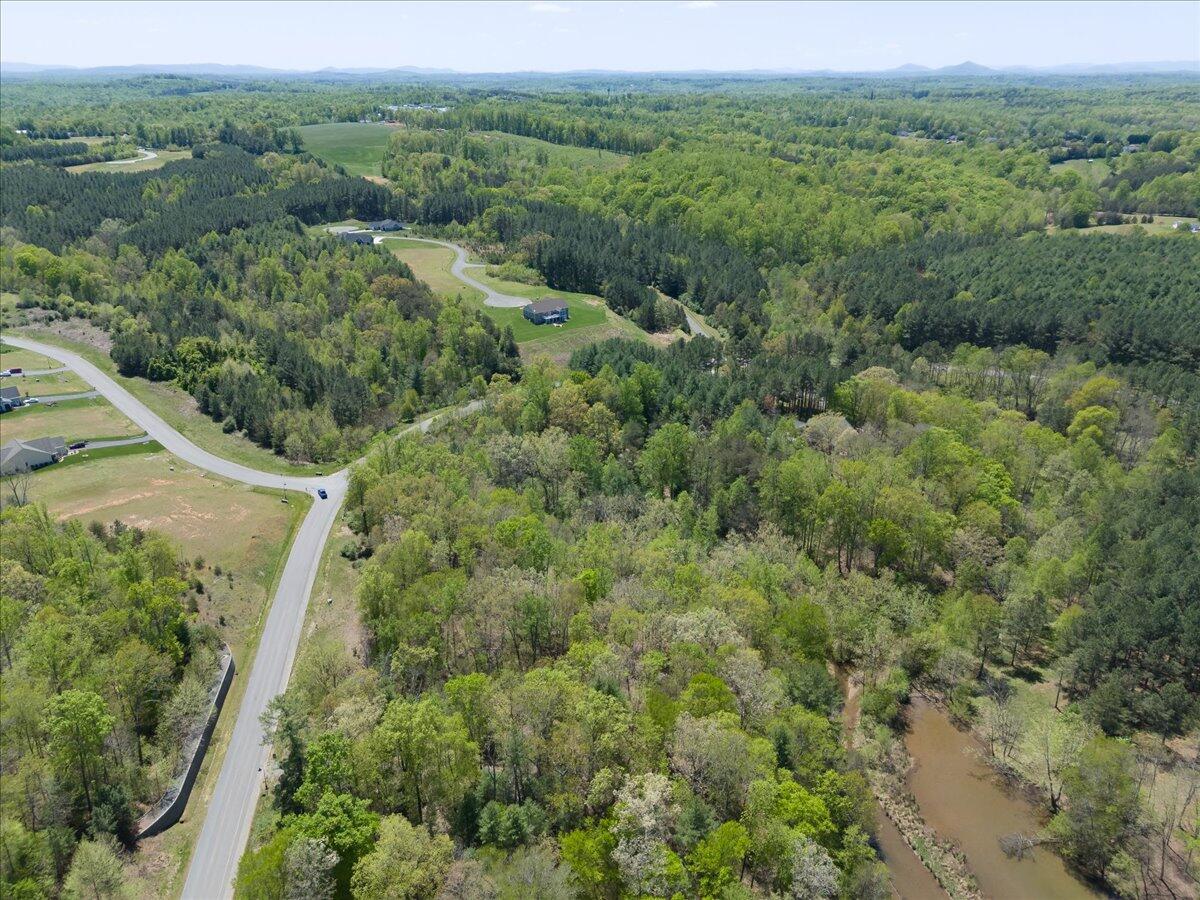 Lot 44 Lakewatch Cir, Moneta, Virginia image 6