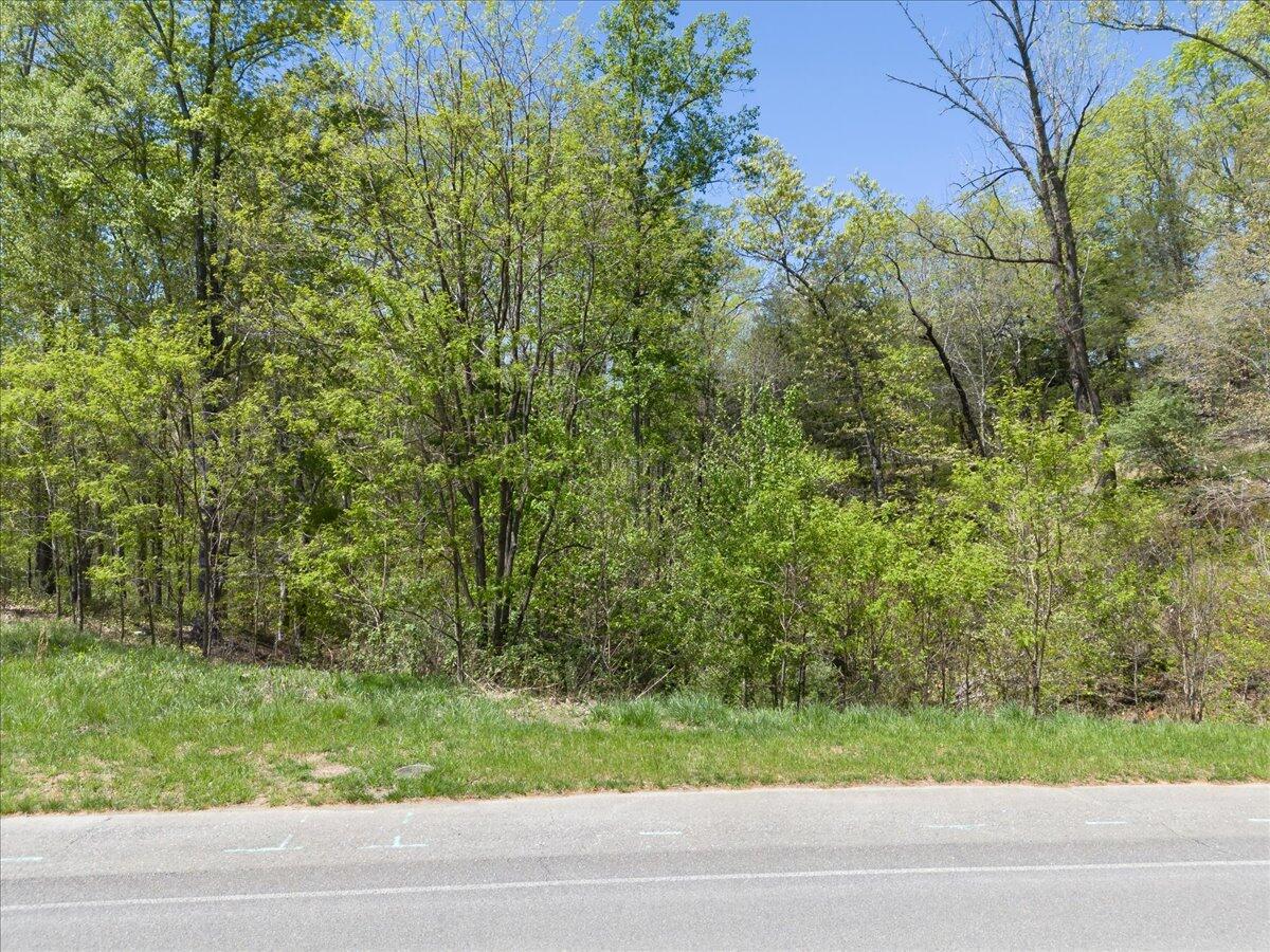 Lot 44 Lakewatch Cir, Moneta, Virginia image 2