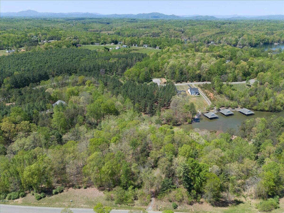 Lot 44 Lakewatch Cir, Moneta, Virginia image 4