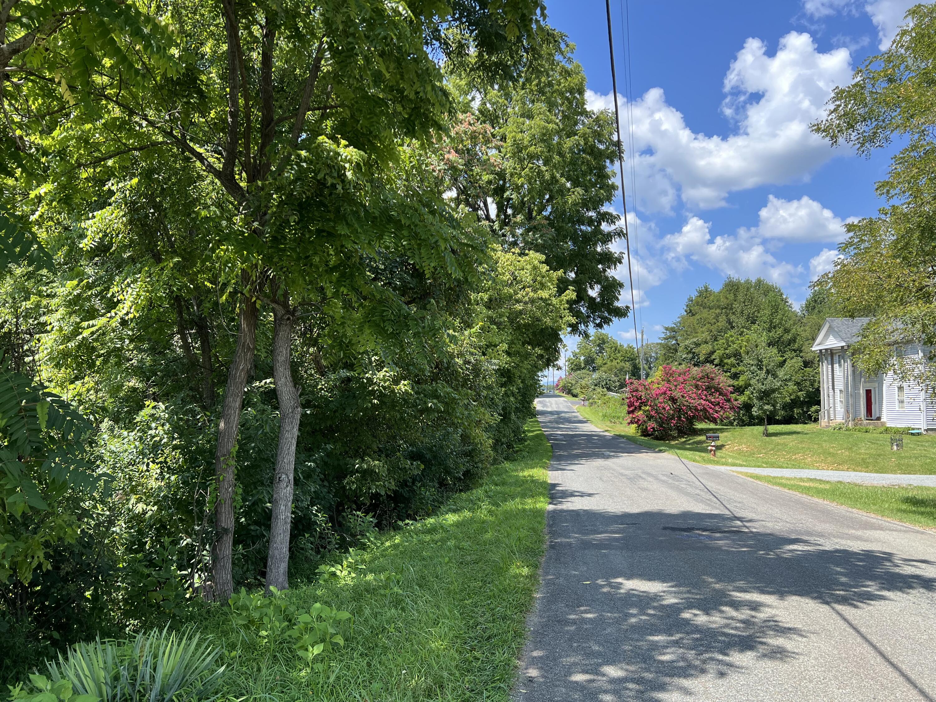 Lot 5 Black Rock Rd, Rocky Mount, Virginia image 1