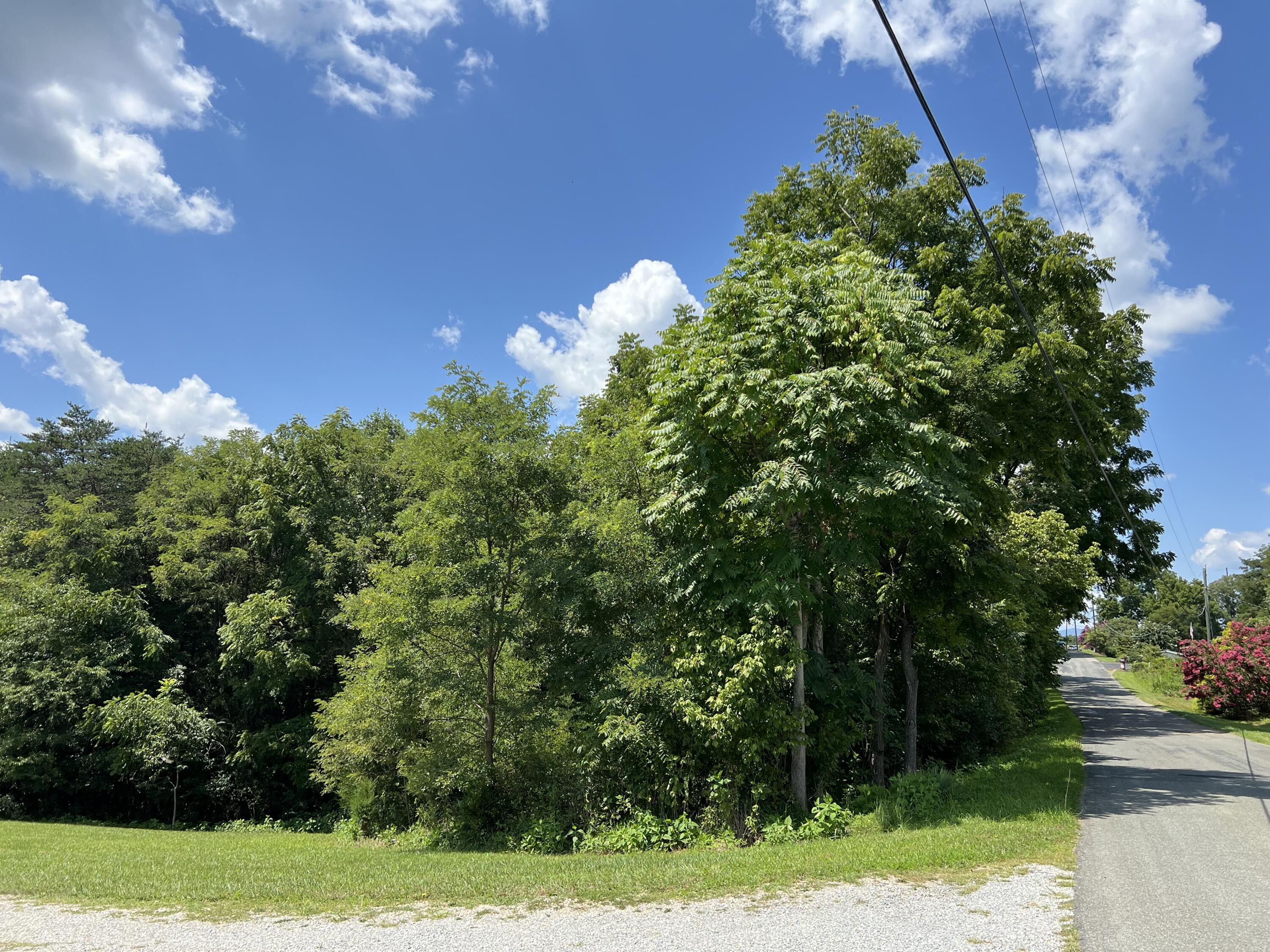 Lot 5 Black Rock Rd, Rocky Mount, Virginia image 2