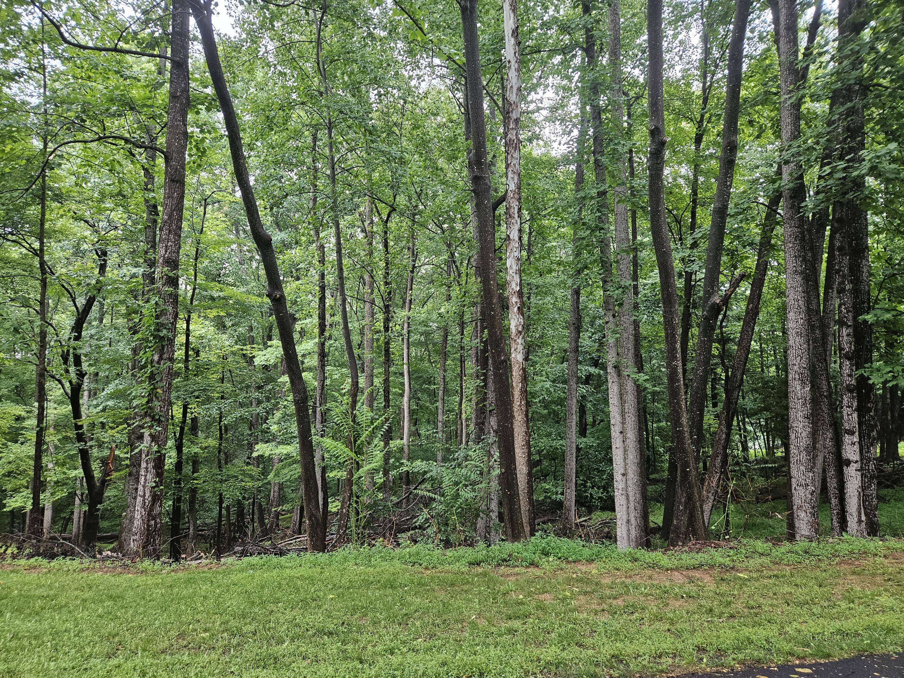 Lot 273 Niblicks Cir, Penhook, Virginia image 2