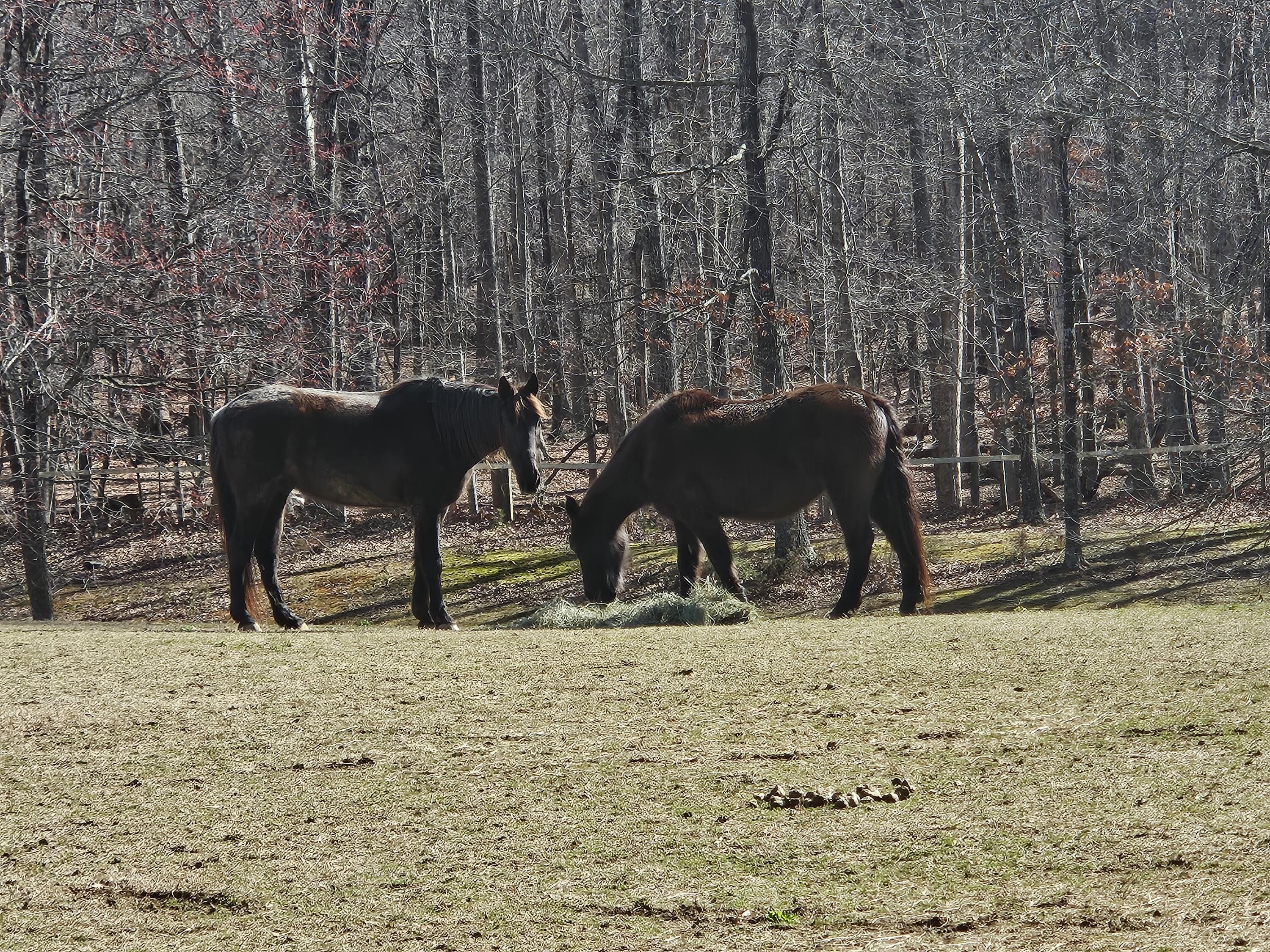 Lot 273 Niblicks Cir, Penhook, Virginia image 7