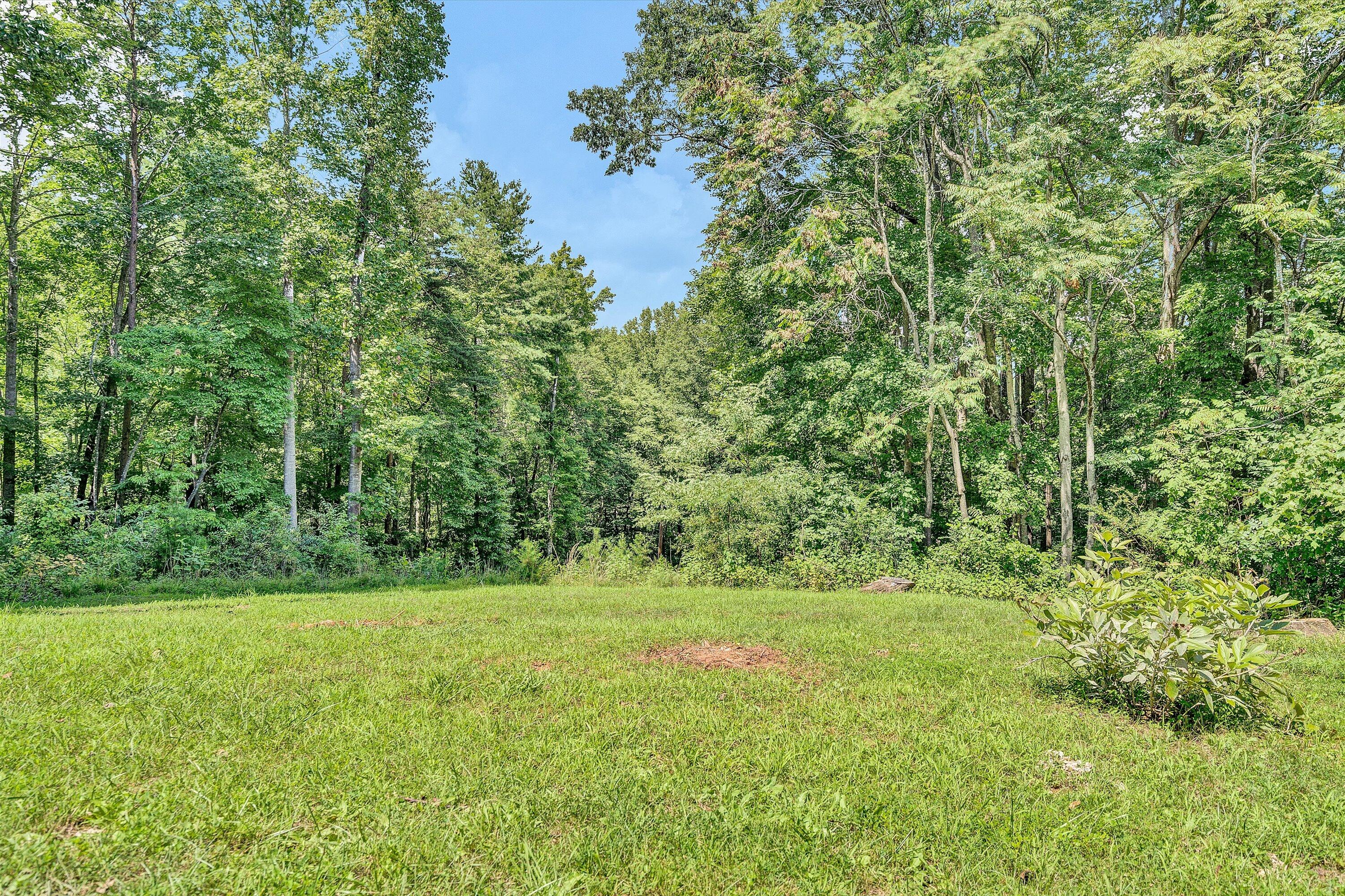 1195 Rhododendron Rd, Callaway, Virginia image 36