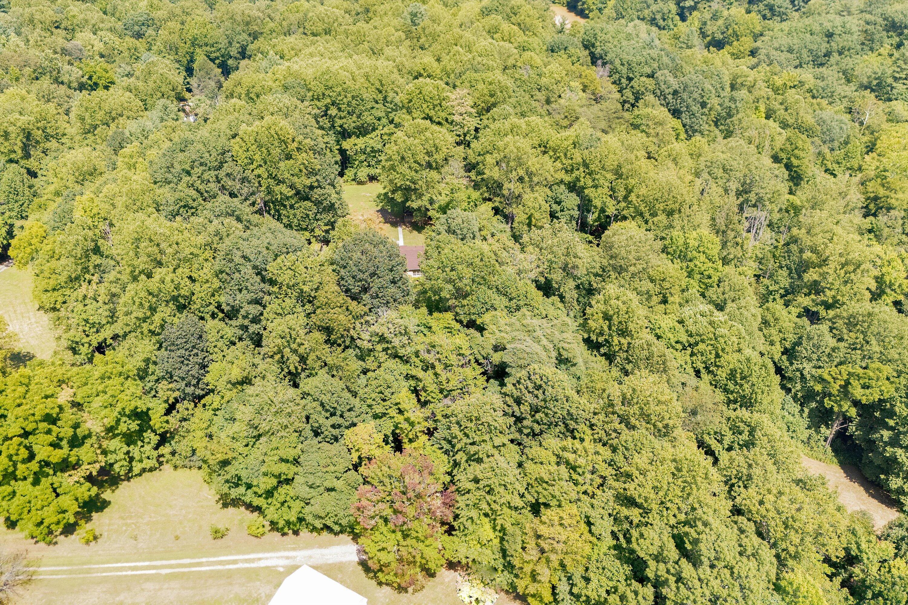 1195 Rhododendron Rd, Callaway, Virginia image 40