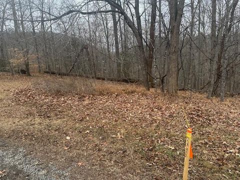 Vacant Land For Sale - Ridge Dr<br/> Goodview, VA 24095
