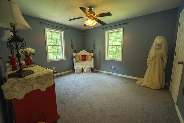 2716 Peaks Mountain Rd, Galax, Ohio image 36
