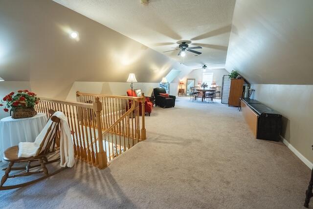 2716 Peaks Mountain Rd, Galax, Ohio image 44