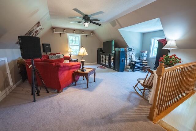 2716 Peaks Mountain Rd, Galax, Ohio image 42