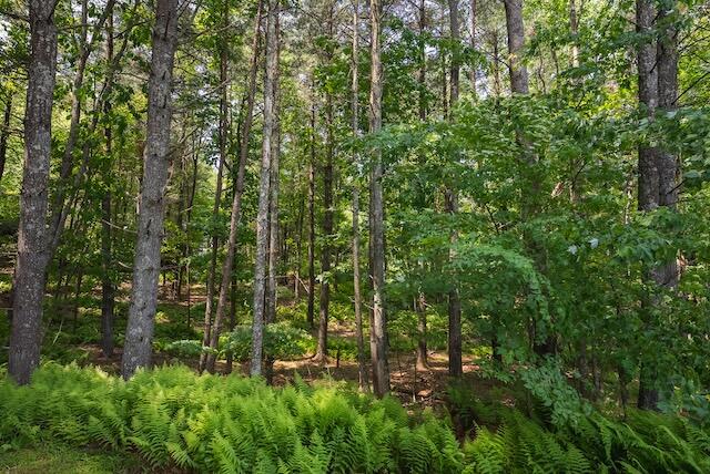 2716 Peaks Mountain Rd, Galax, Ohio image 14