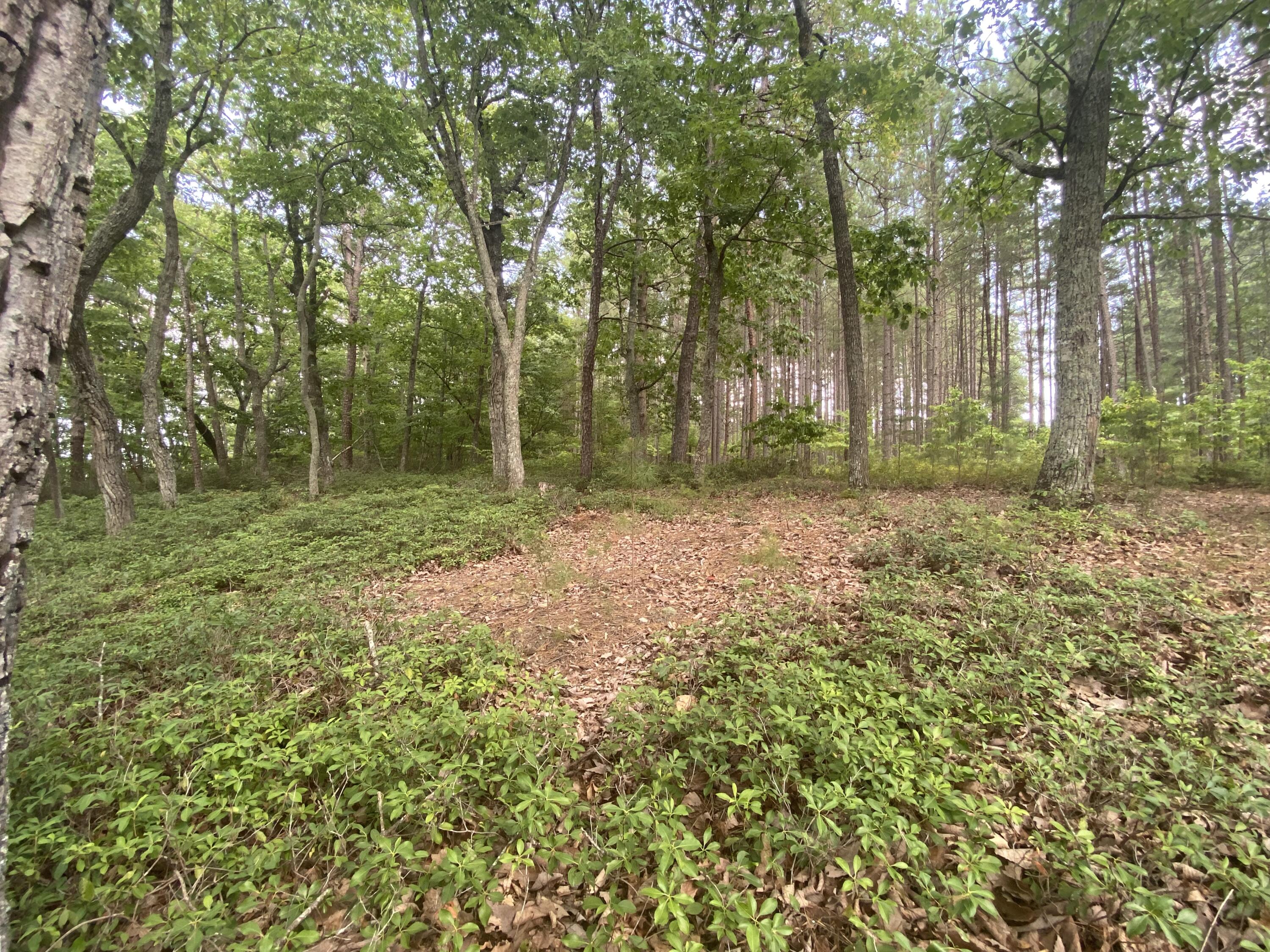 Lot 119 Greenberry Dr, Pittsville, Virginia image 17