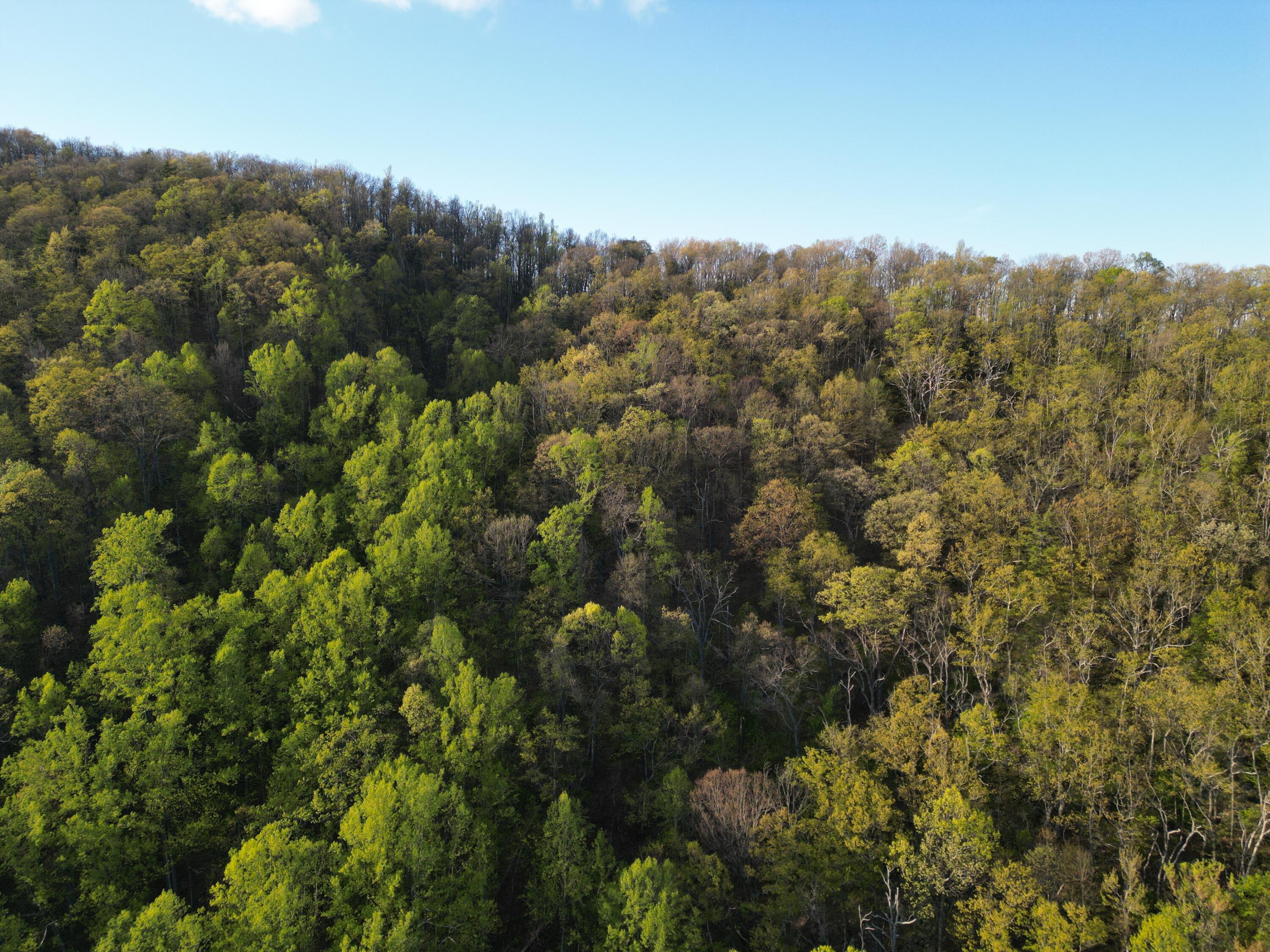 00 Masons Knob Rd, Boones Mill, Virginia image 10
