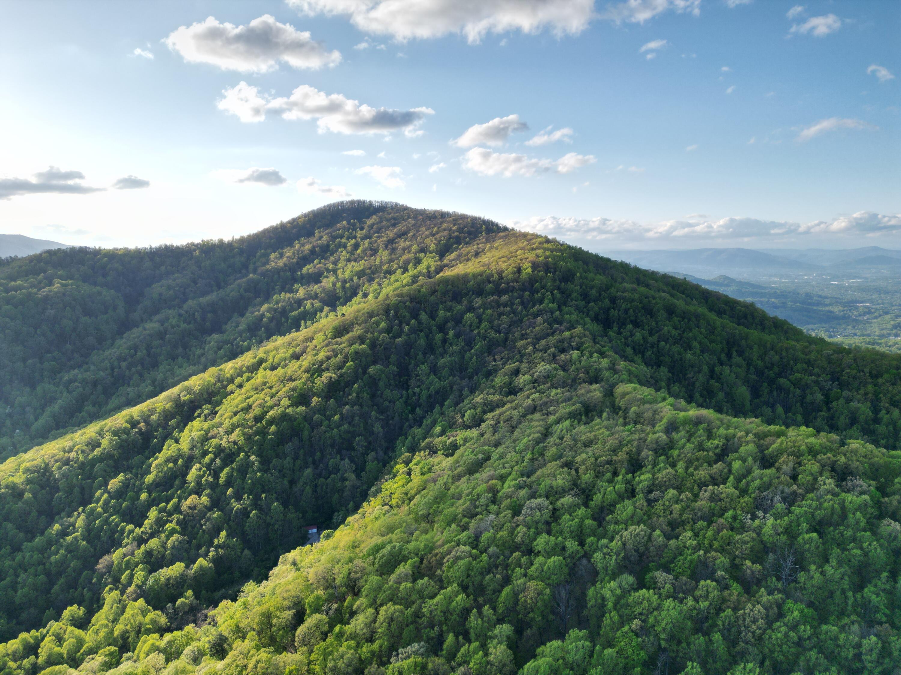 00 Masons Knob Rd, Boones Mill, Virginia image 1