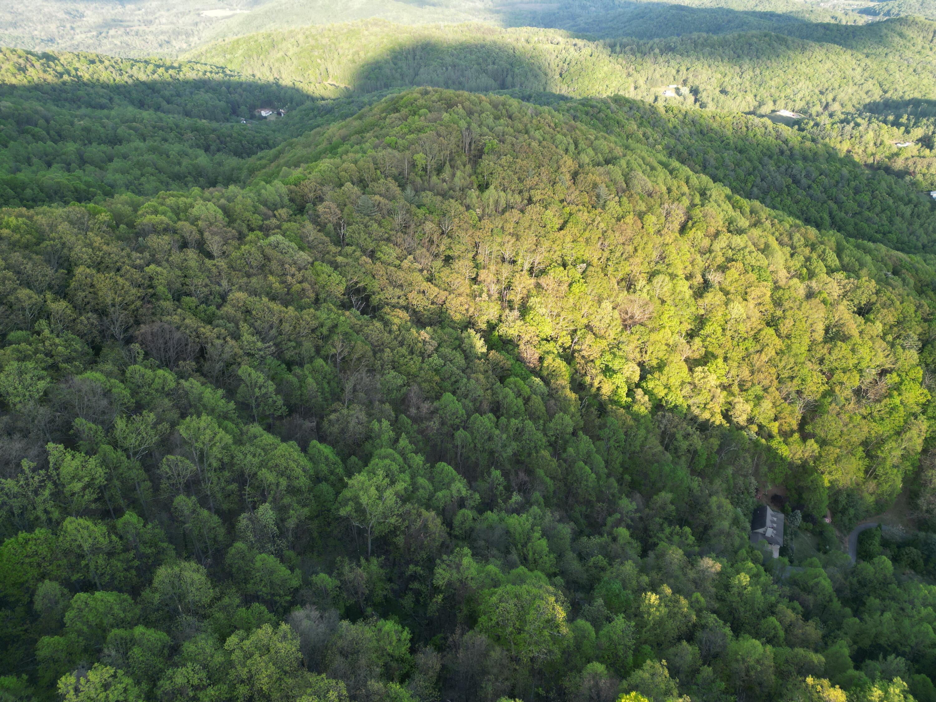 00 Masons Knob Rd, Boones Mill, Virginia image 9