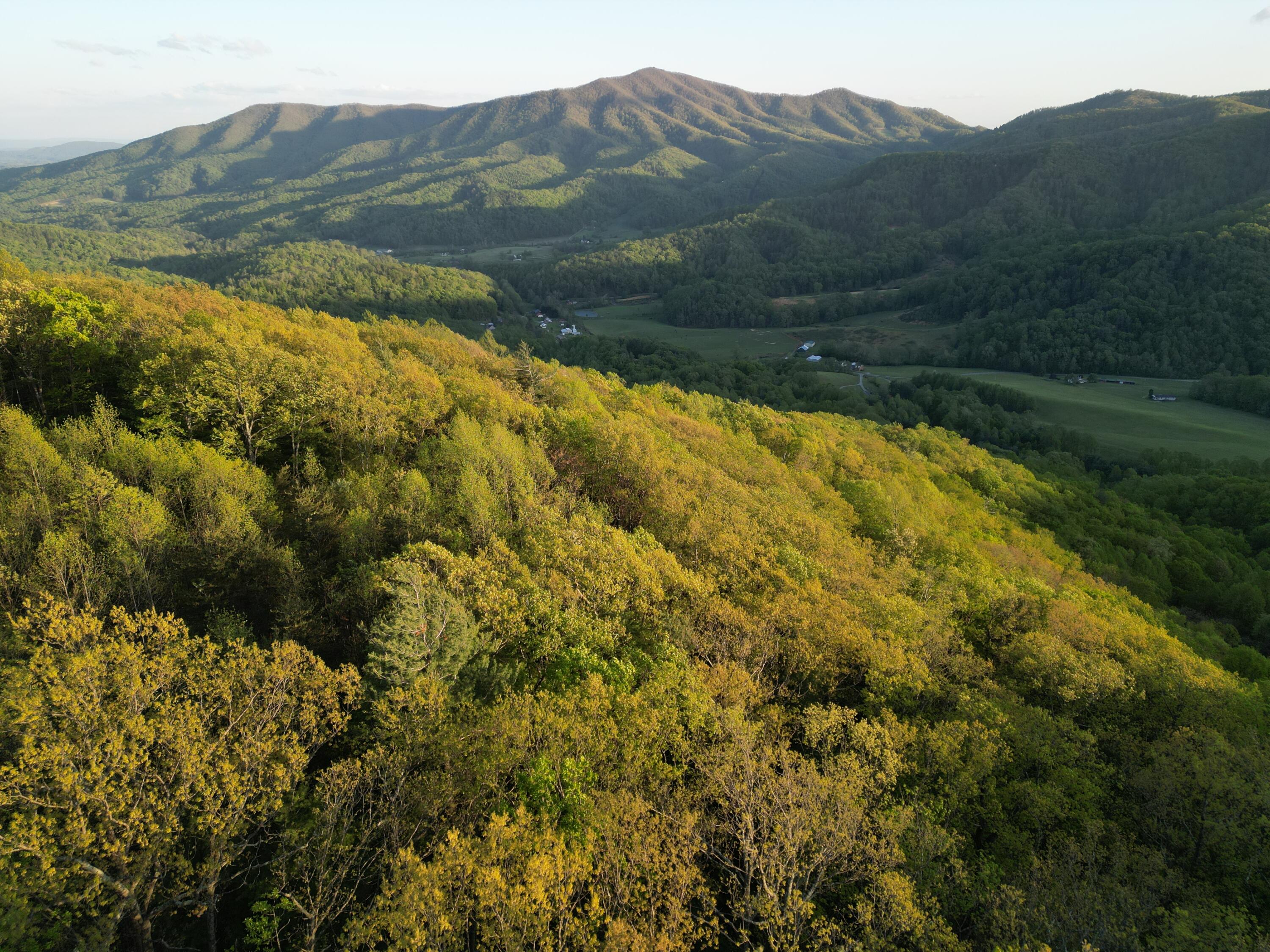 00 Masons Knob Rd, Boones Mill, Virginia image 7