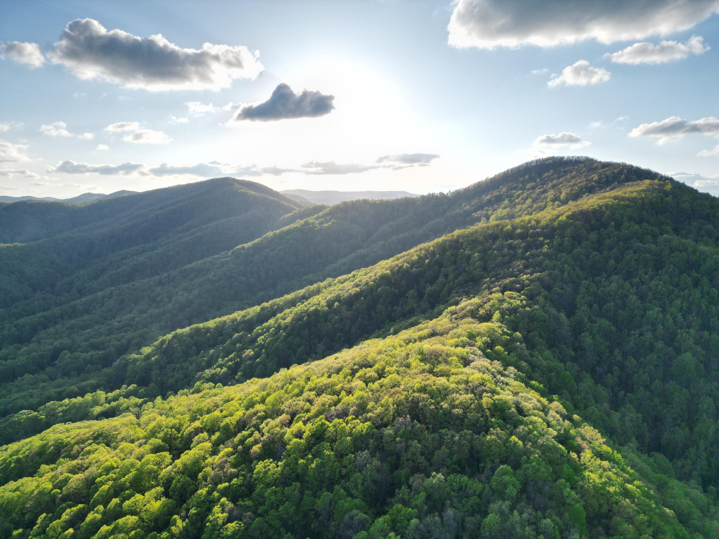 00 Masons Knob Rd, Boones Mill, Virginia image 3