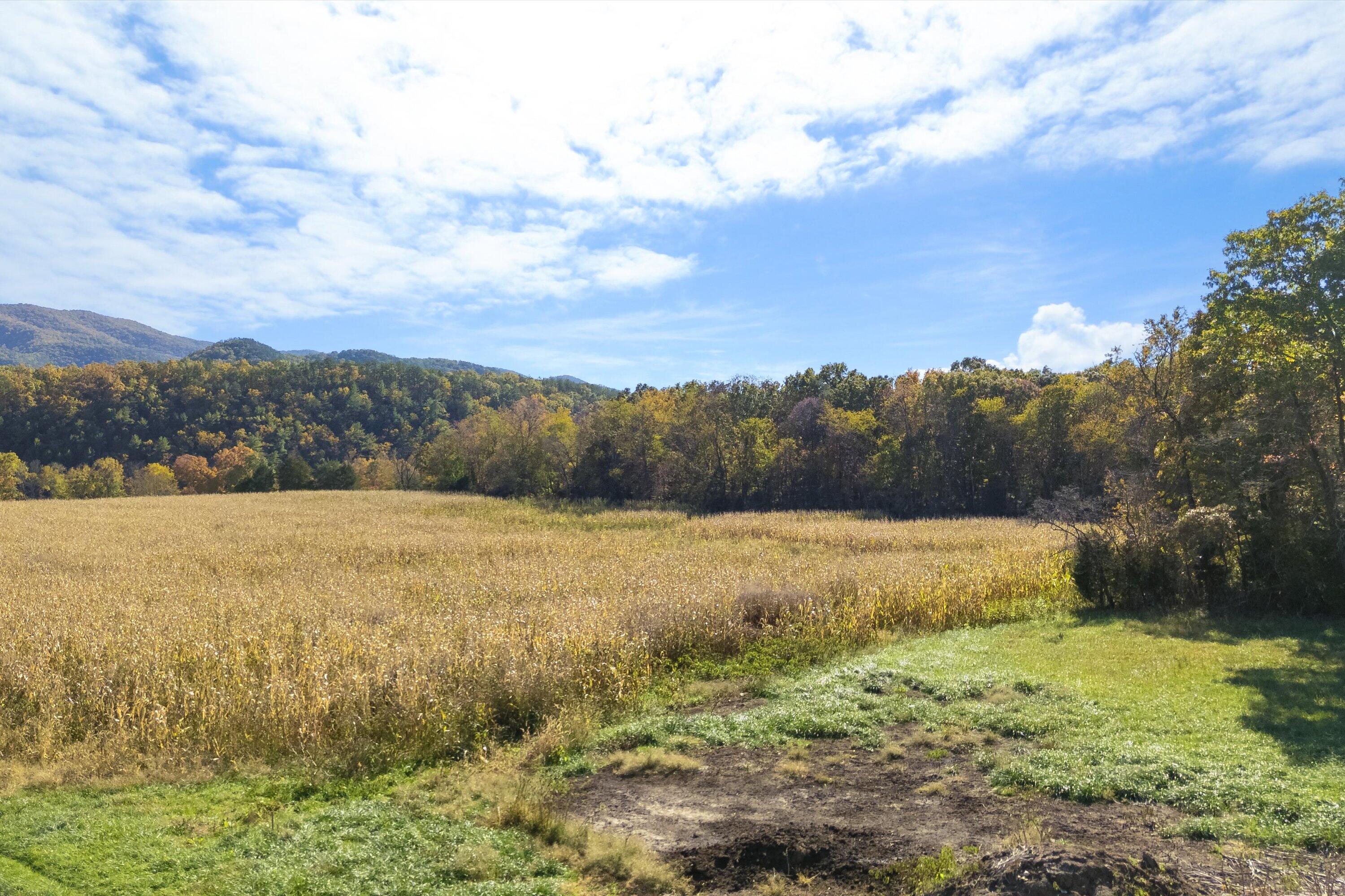 Poor House Rd, New Castle, Virginia image 4