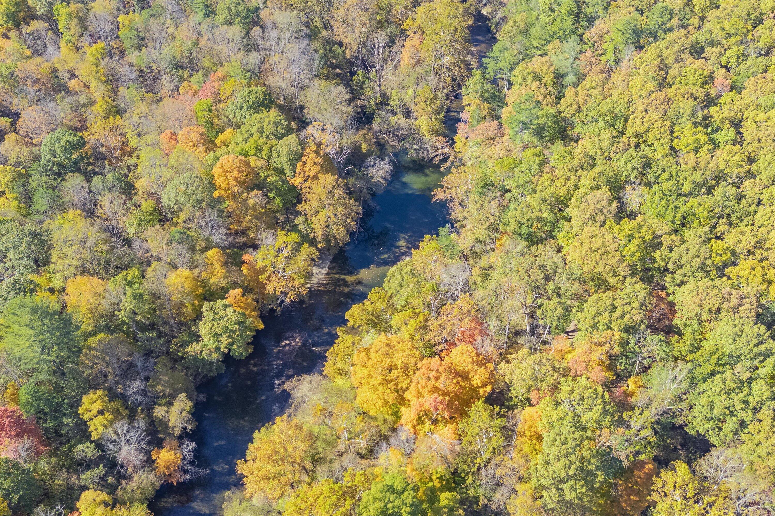 Poor House Rd, New Castle, Virginia image 8