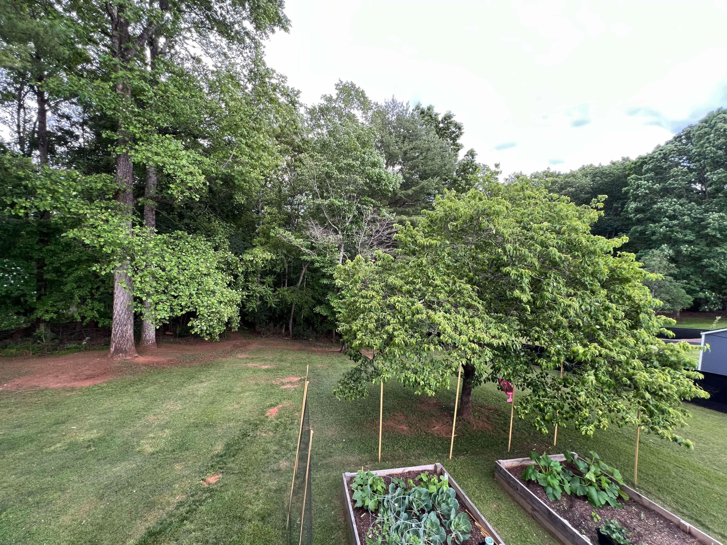 360 Rakes Rd, Rocky Mount, Virginia image 30