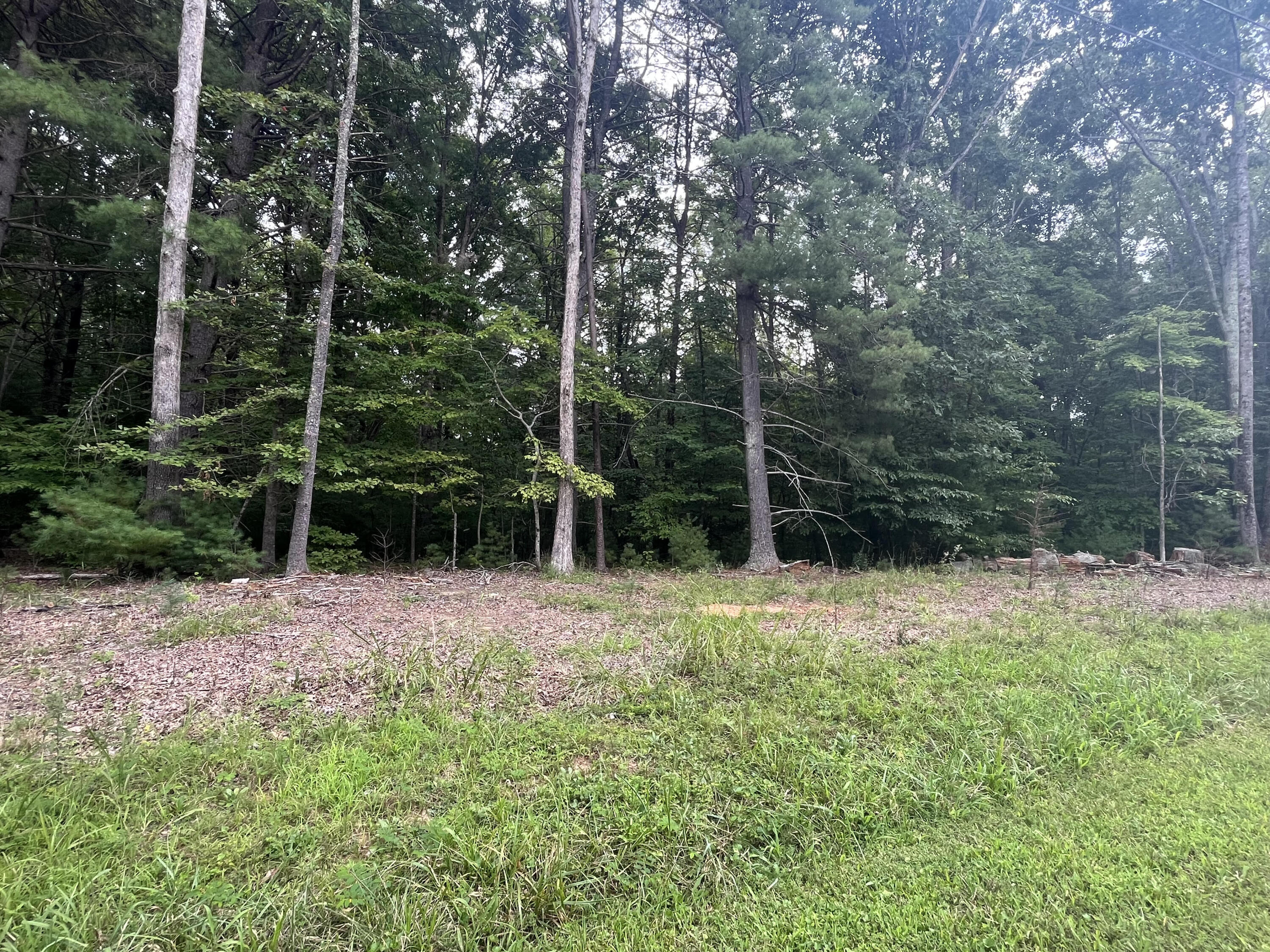 Storey Creek Ln, Rocky Mount, Virginia image 3
