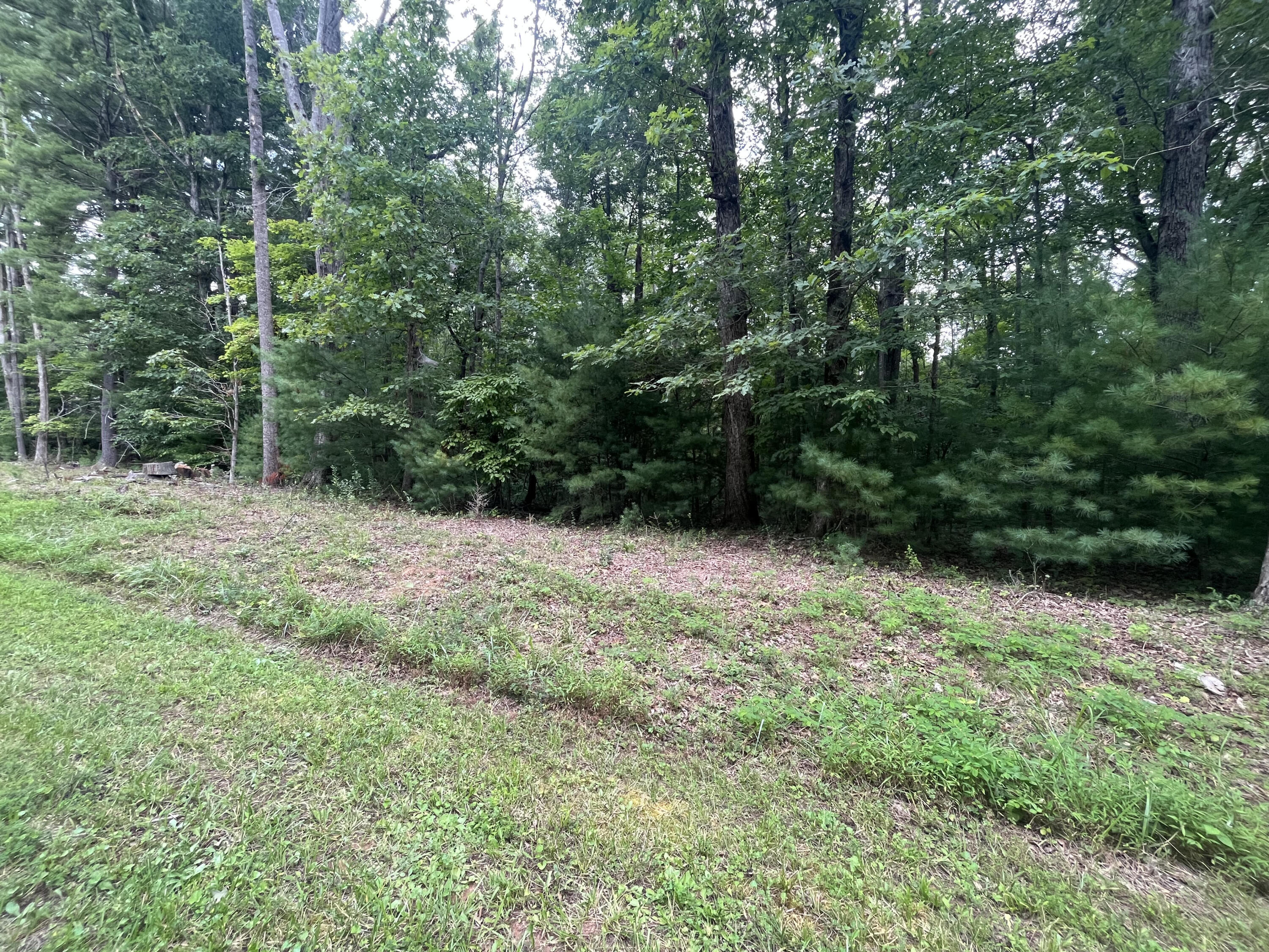 Storey Creek Ln, Rocky Mount, Virginia image 1