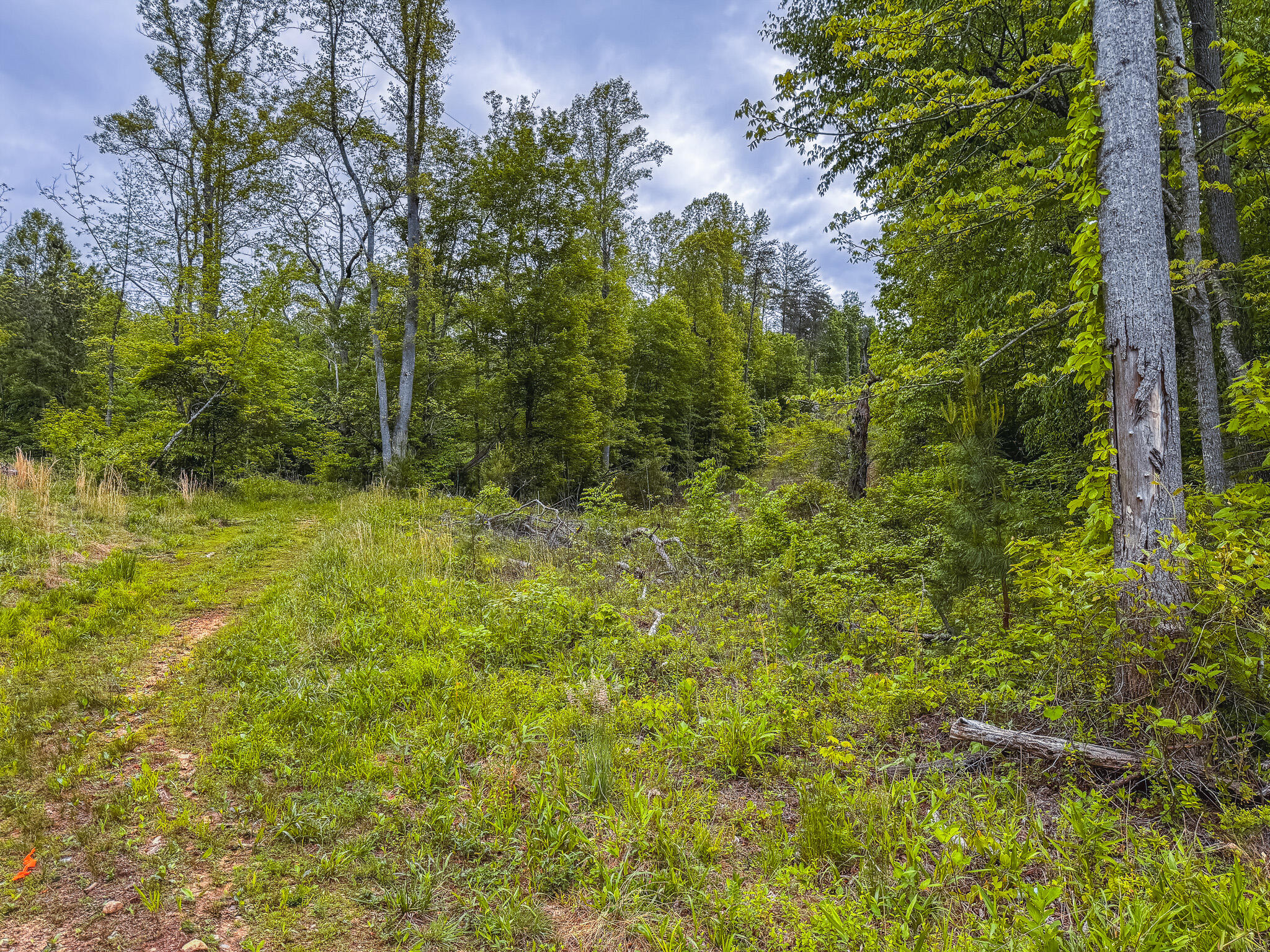 Lot 3 Shortcut Dr, Woolwine, Virginia image 3