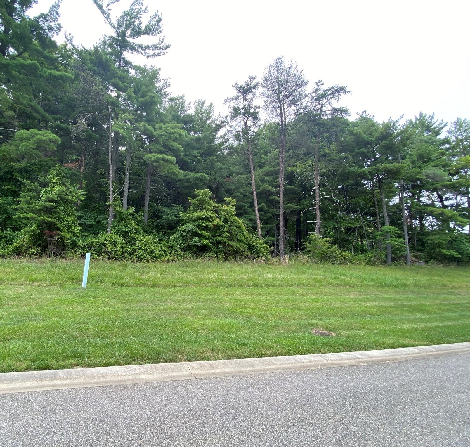 LOT 27 Summit Dr, Rocky Mount, Virginia image 2