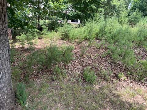 Vacant Land For Sale - LOT 37 Waterview Ct<br/> Gretna, VA 24557