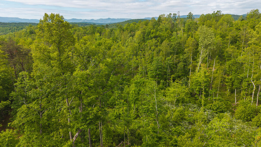 Lot 2 Shortcut Dr, Woolwine, Virginia image 5