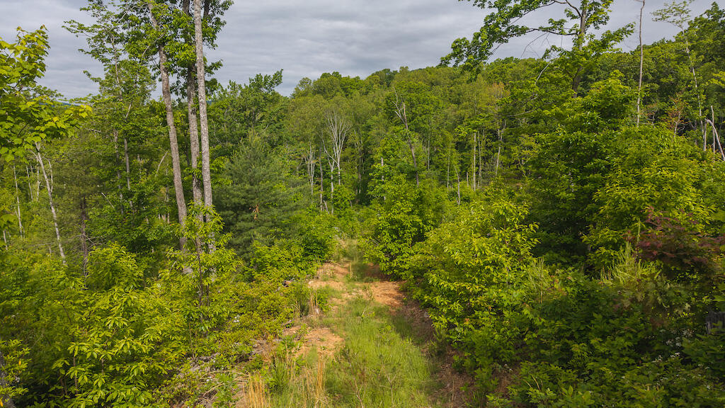 Lot 2 Shortcut Dr, Woolwine, Virginia image 1