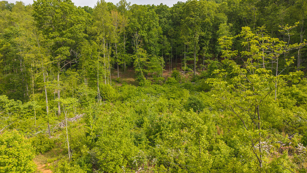 Lot 2 Shortcut Dr, Woolwine, Virginia image 3