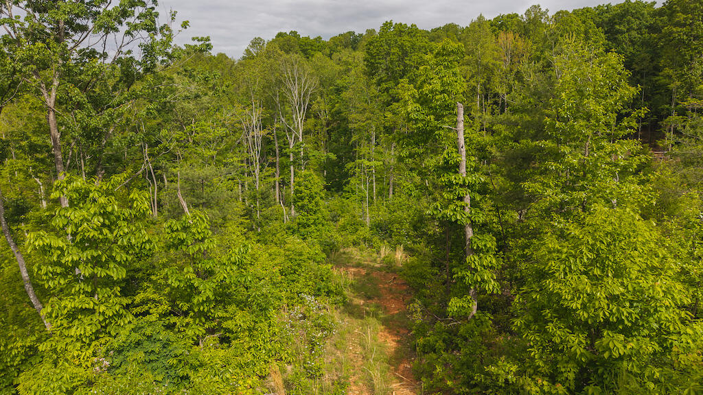 Lot 2 Shortcut Dr, Woolwine, Virginia image 2