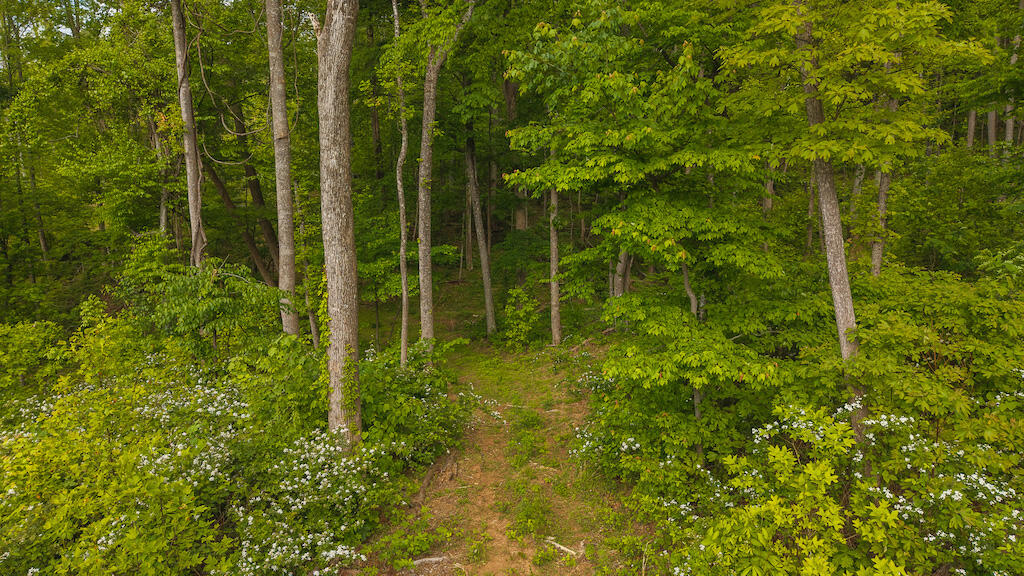 Lot 2 Shortcut Dr, Woolwine, Virginia image 8