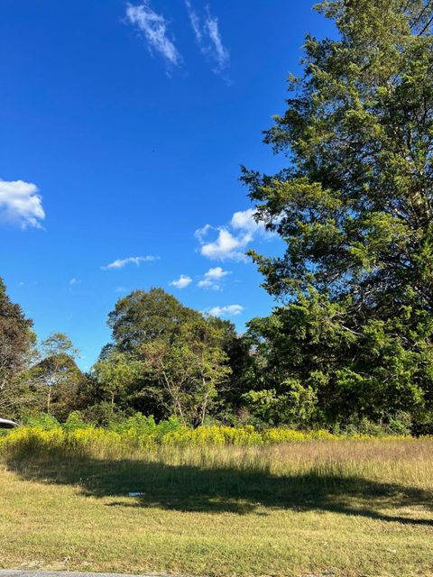 Vacant Land For Sale - Pike Rd<br/> Montvale, VA 24122