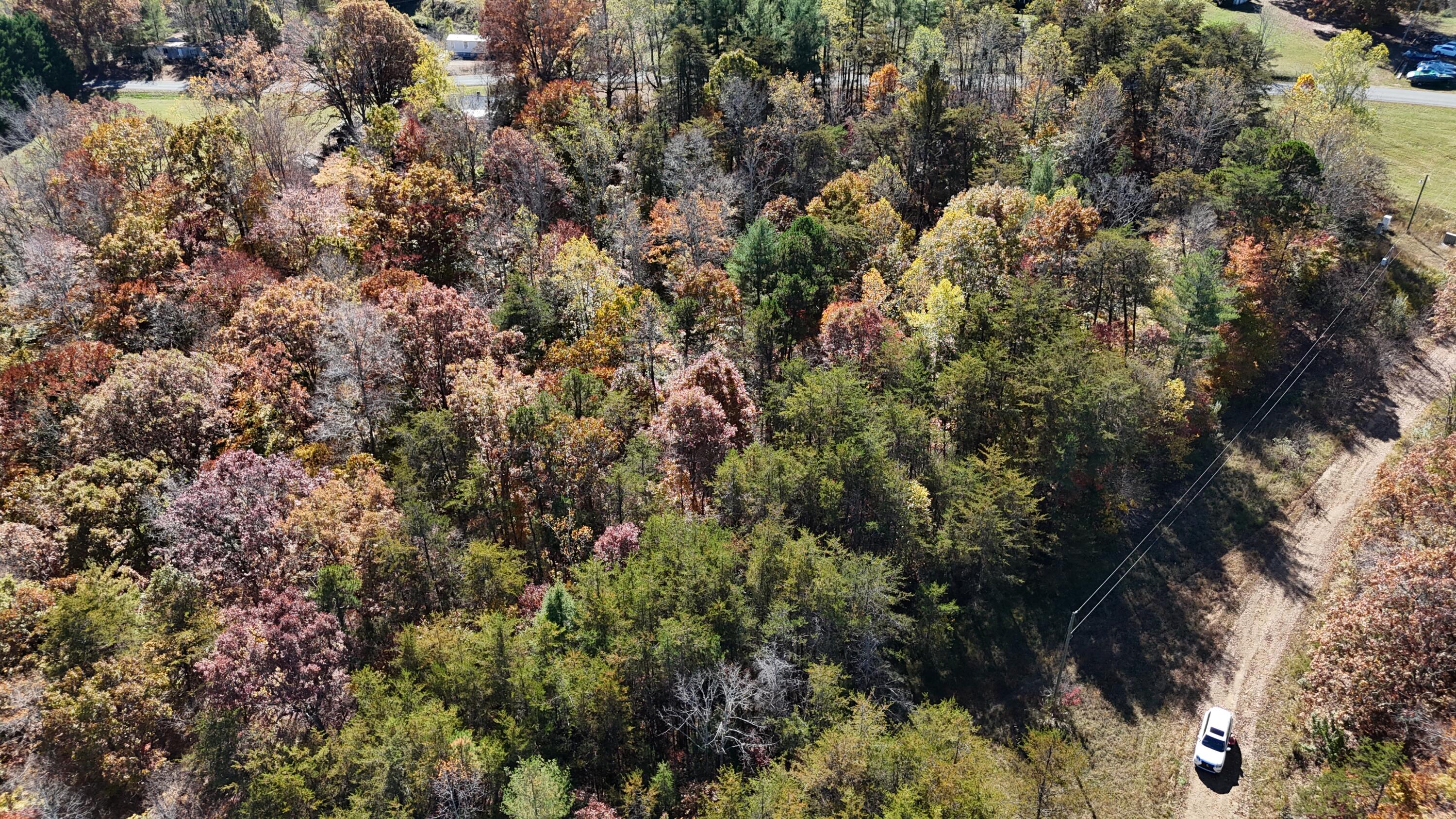 Knob Church Rd, Henry, Virginia image 10