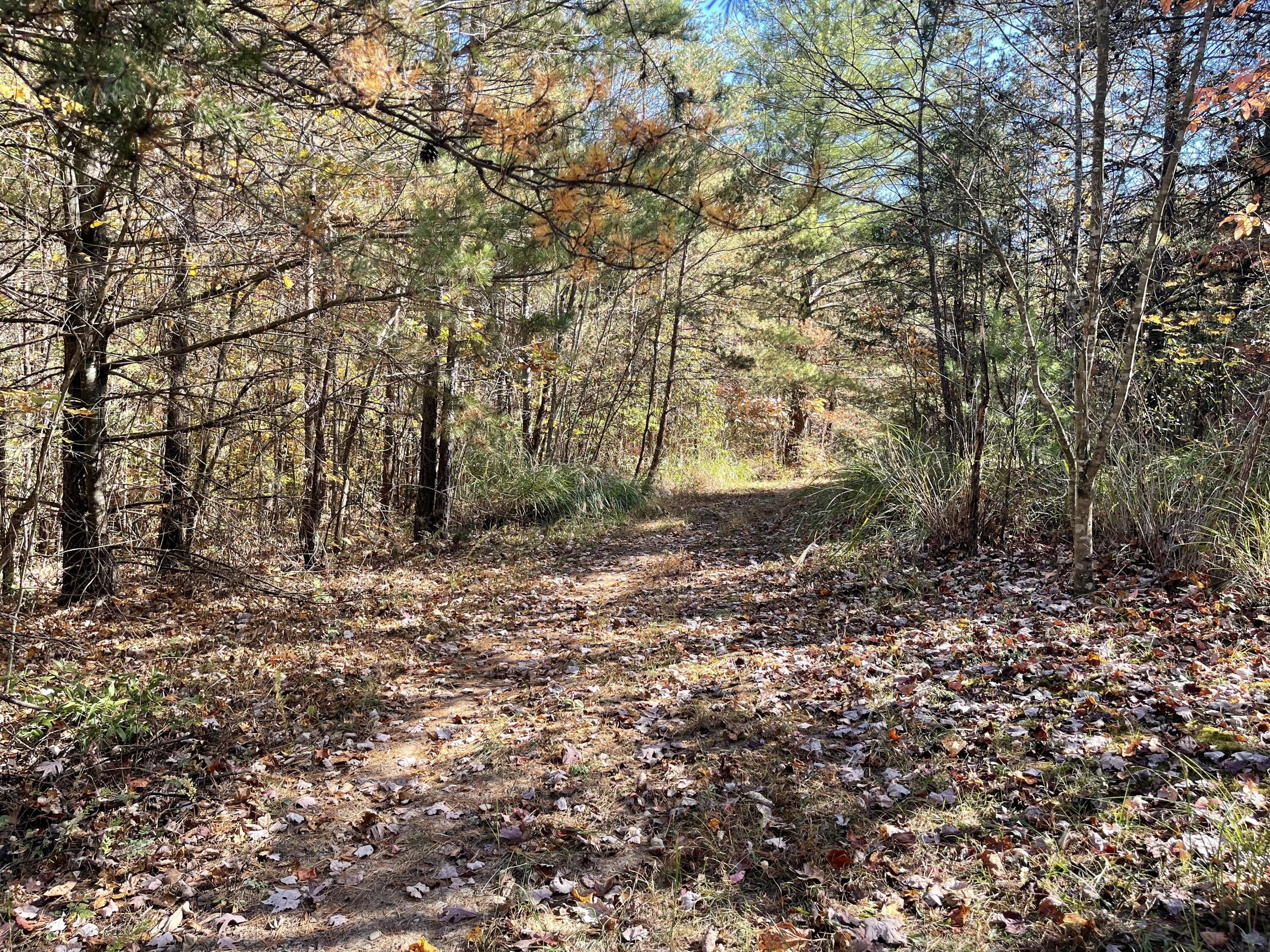 Knob Church Rd, Henry, Virginia image 5