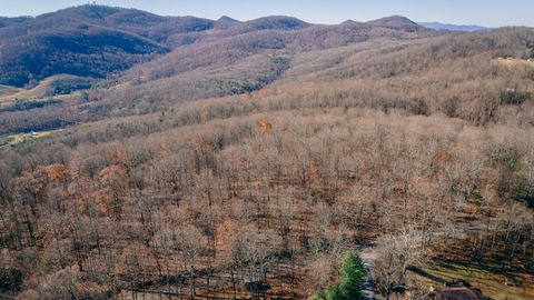 Homes For Sale - Bore Auger Rd<br/> Blue Ridge, VA 24064