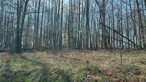 Vacant Land For Sale - Cottontown Rd<br/> Forest, VA 24551